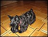 IMG_0113.JPG
