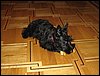 IMG_0119.JPG