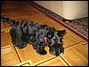 IMG_0124.JPG