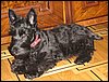 IMG_0130.JPG
