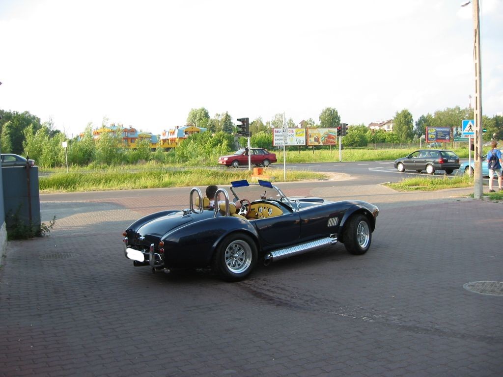 Cobra-02.JPG