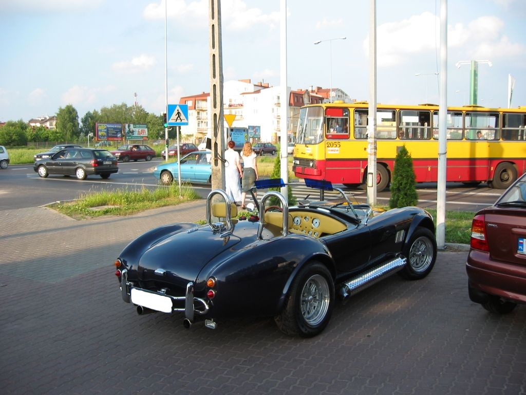 Cobra-03.JPG