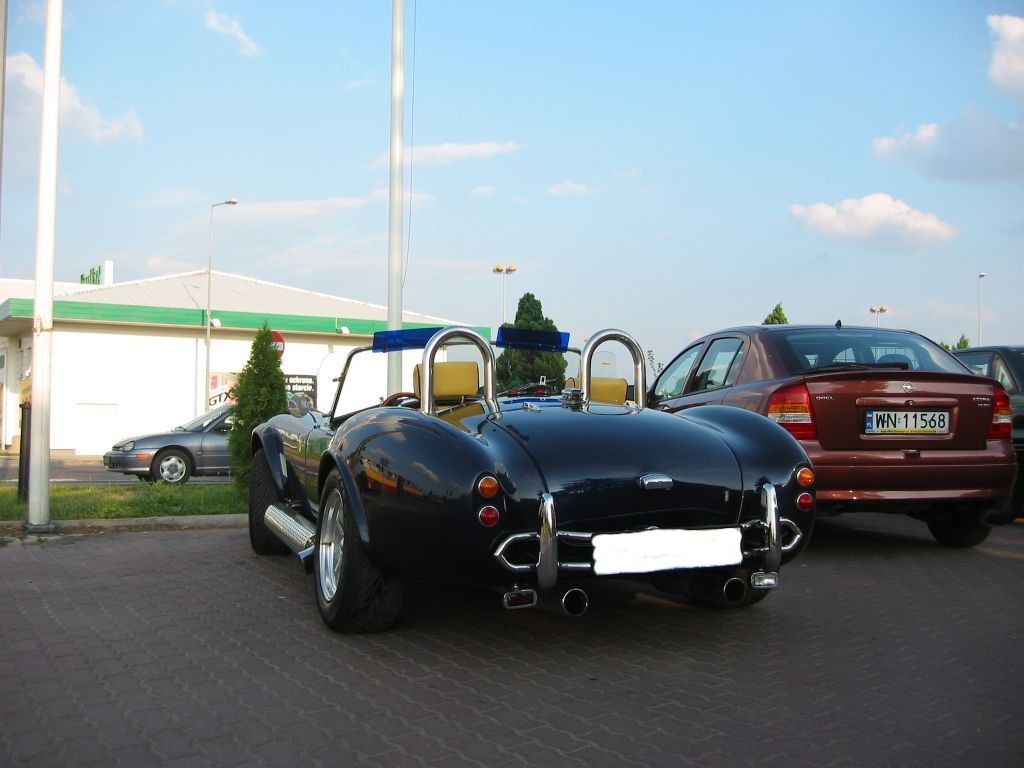Cobra-04.JPG