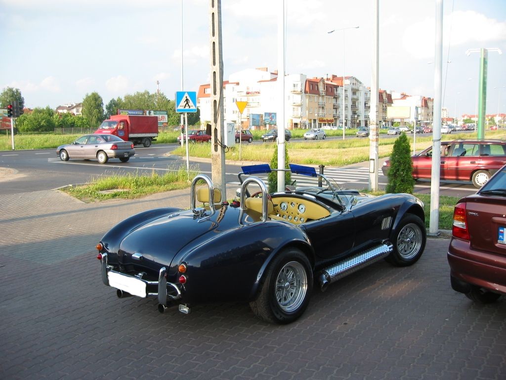 Cobra-09.JPG