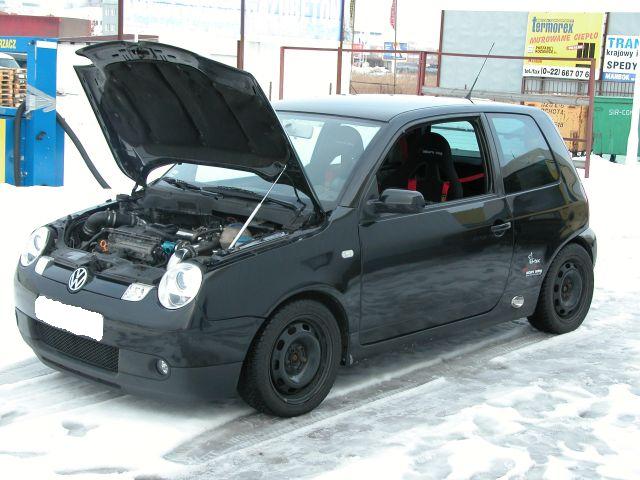 Lupo3.jpg